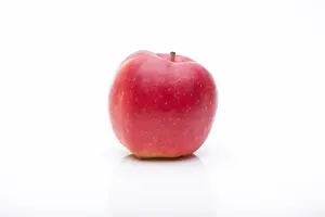malus d. 'jonagold' C7,5 - afbeelding 3