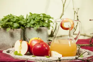 malus d. 'jonagold' PALMET DUBBELE U BW (U) - afbeelding 5