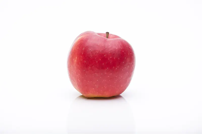malus d. 'jonagold' PALMET DUBBELE U BW (U) - afbeelding 3