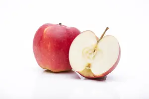 malus d. 'jonagold' PALMET DUBBELE U BW (U) - afbeelding 4