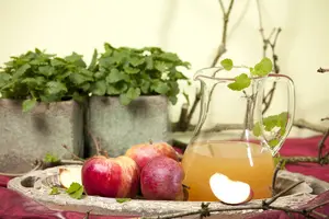 Malus d. 'Rode Boskoop' 10/12 HO C - afbeelding 5