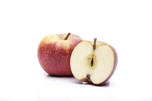 Malus d. 'Schone van Boskoop' ( 'belle de bosk.) STRUIK   BW - afbeelding 2