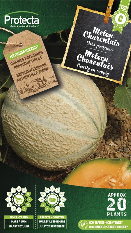 meloen canteloup charentais
