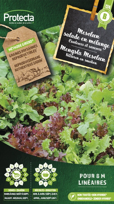 mengsla mesclun