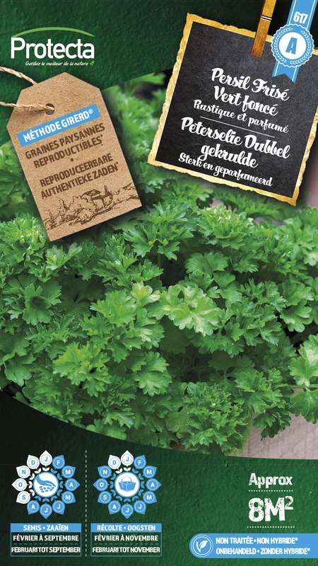 peterselie dubbel gekrulde