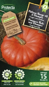 pompoen rode van etampes