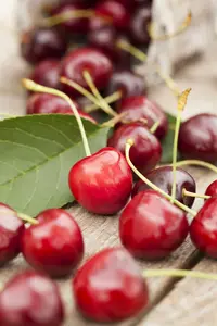 Prunus av. 'Summit' HOOGST.  BW (8/10)