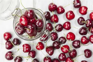 Prunus avium 60- 80 C2 - afbeelding 4