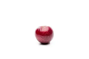 Prunus dom. 'Altesse Simple' ('hauszwetsche') 10/12 HA BW - afbeelding 3