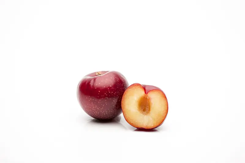 Prunus dom. 'Altesse Simple' ('hauszwetsche') 10/12 HA BW - afbeelding 4