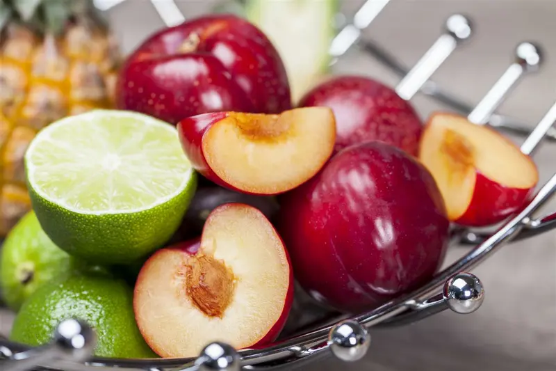 Prunus dom. (pruimen/pruniers) 10/12 HA BW - afbeelding 1