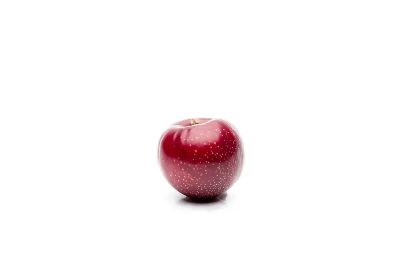 domestica - afbeelding 5