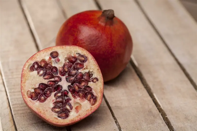 Punica granatum OMTR/CIRC.:20/30 H160/+ - afbeelding 4