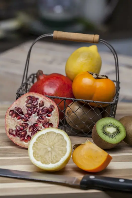 Punica granatum STRUIK   C - afbeelding 2