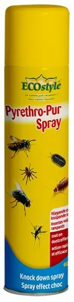 pyrethrum