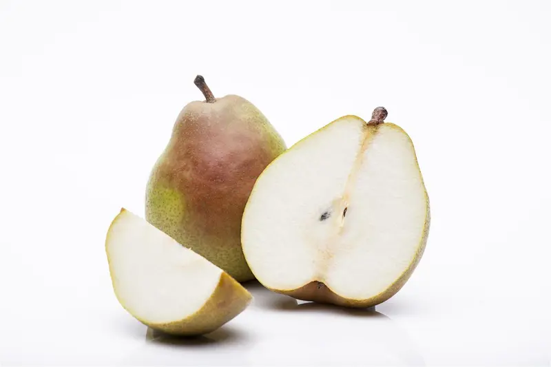 Pyrus comm. 'Doyenne du Comice' 10/12 HO BW - afbeelding 1