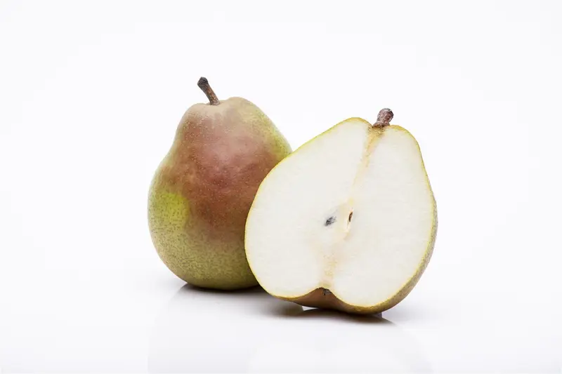Clapps Liebling - afbeelding 2
