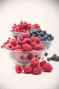 Ribes rubrum wit/blanc 80-100   C12 - afbeelding 3