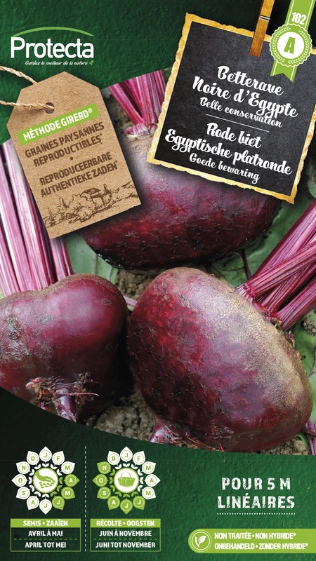 rode biet egyptische ronde