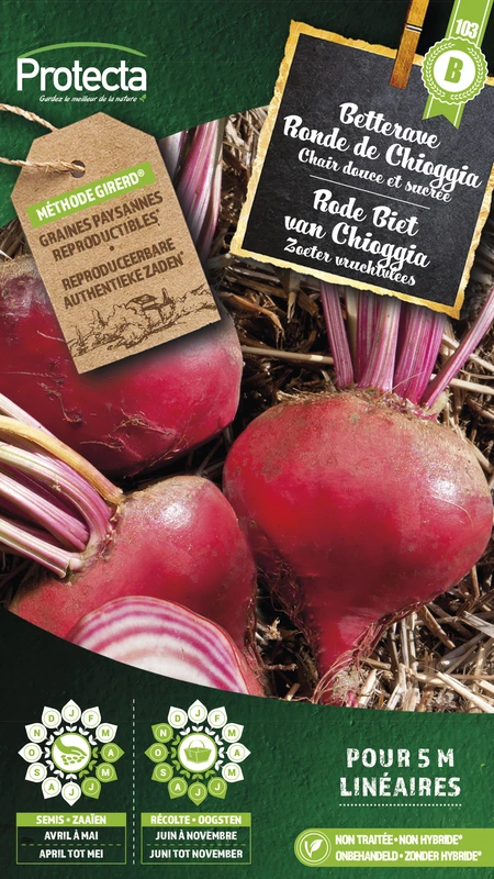 rode biet van chioggia