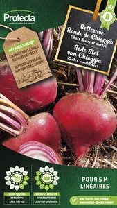 rode biet van chioggia