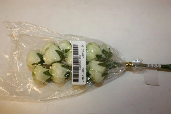 rose (36) cream green