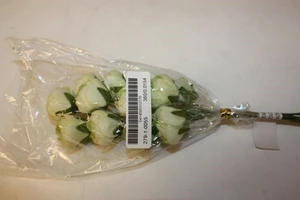 rose (36) cream green