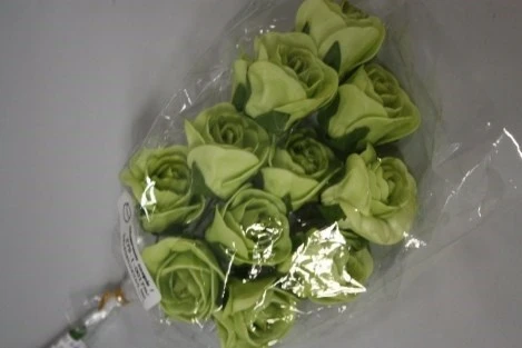 rose (36) green