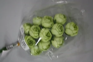 rose (36) green