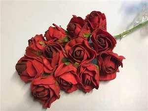 rose (36) red