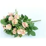 rose bud/orchid bud bush x 18 - 55 cm