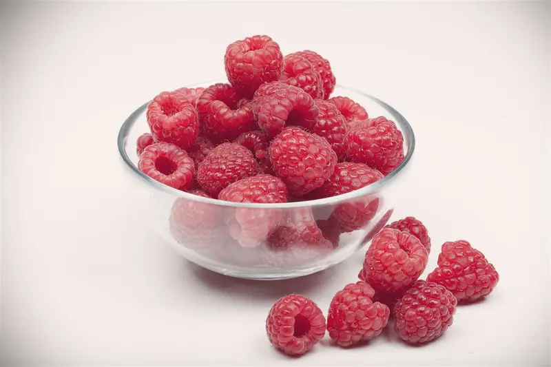 Rubus id. 'Aroma Queen' STRUIK   C