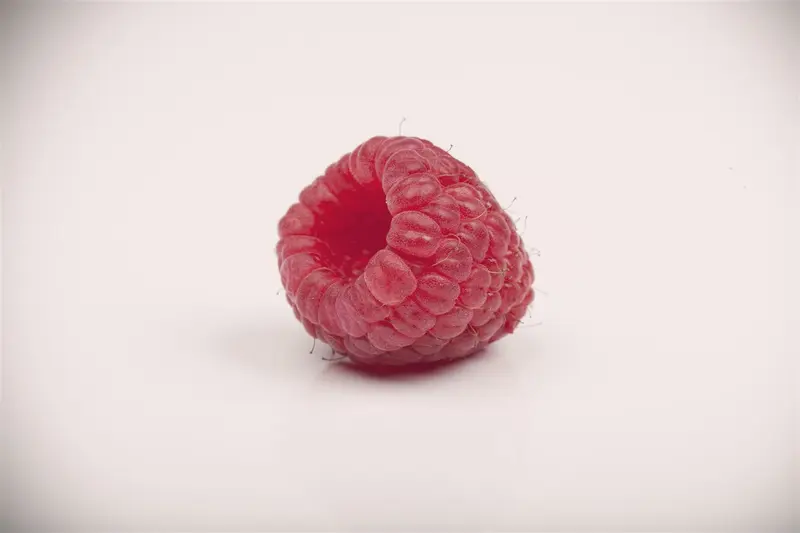 Rubus id. 'Black Jewel' STRUIK   C - afbeelding 4