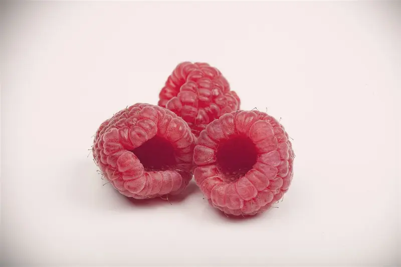 Rubus id. 'Black Jewel' STRUIK   C - afbeelding 5