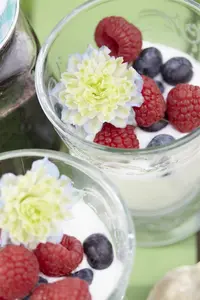 Rubus idaeus C5 MIX - afbeelding 3