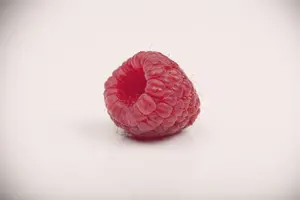 Rubus idaeus C5 MIX - afbeelding 4