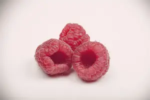 Rubus idaeus C5 MIX - afbeelding 5