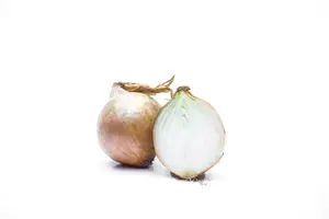 Sjalot - échalote rood/rouge ZAKJE 15ST. - afbeelding 2