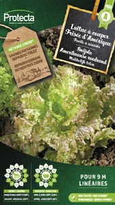 snijsla amerikaanse roodrand