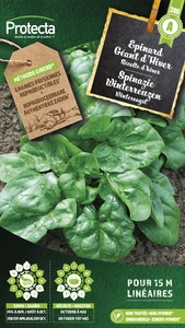 spinazie winterreuzen 