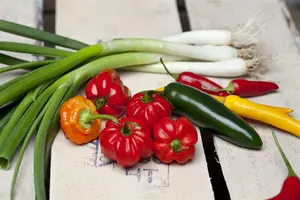 stengelajuin ishikura long white - afbeelding 4