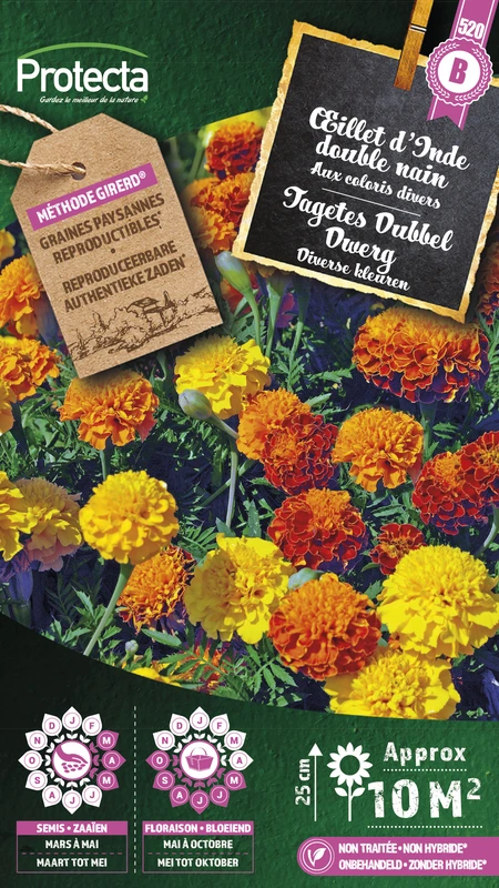 tagetes dubbel dwerg gemengd