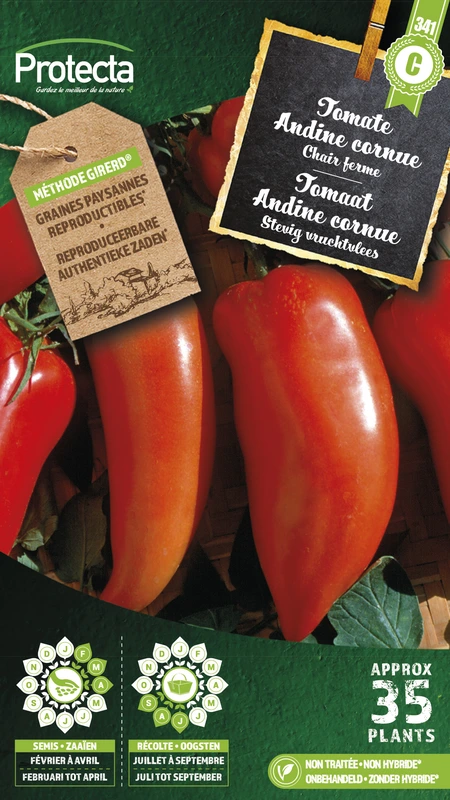 'tomaat ''andine cornue'''
