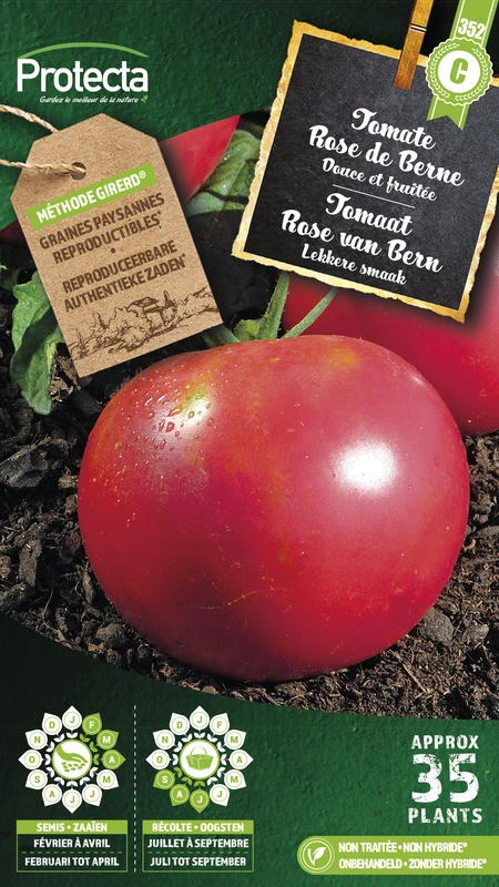 'tomaat ''rose de bern'''