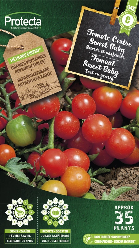 tomaat sweet baby