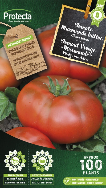 tomaat vroege marmande