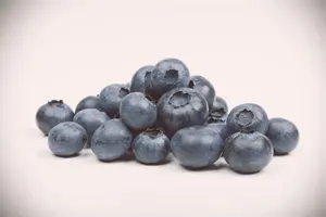 Vaccinium corymbosum 30- 40   C - afbeelding 3