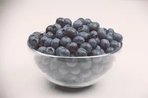 Vaccinium corymbosum 60- 80   C10 - afbeelding 5