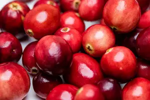 vaccinium macrocarpon (cranberry) (30- 40cm) - afbeelding 3