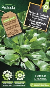 veldsla hollands breedblad